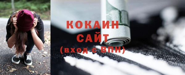 прущие грибы Бородино