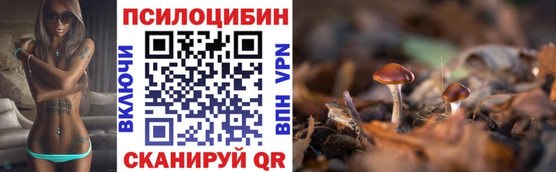 Галлюциногенные грибы Psilocybe  где купить наркотик  Ивдель 